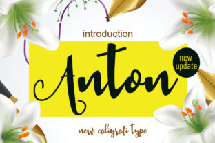 Anton: A Personal Touch for Your Branding Projects