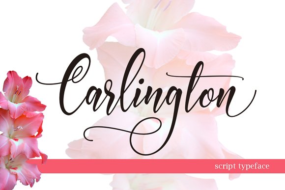 Carlington: A Modern Script Font for Crafters and Creators