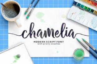 Chamelia: A Handwritten Font for Elegant Editorial Design