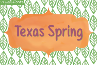 Discover the Versatility of Texas Spring Font