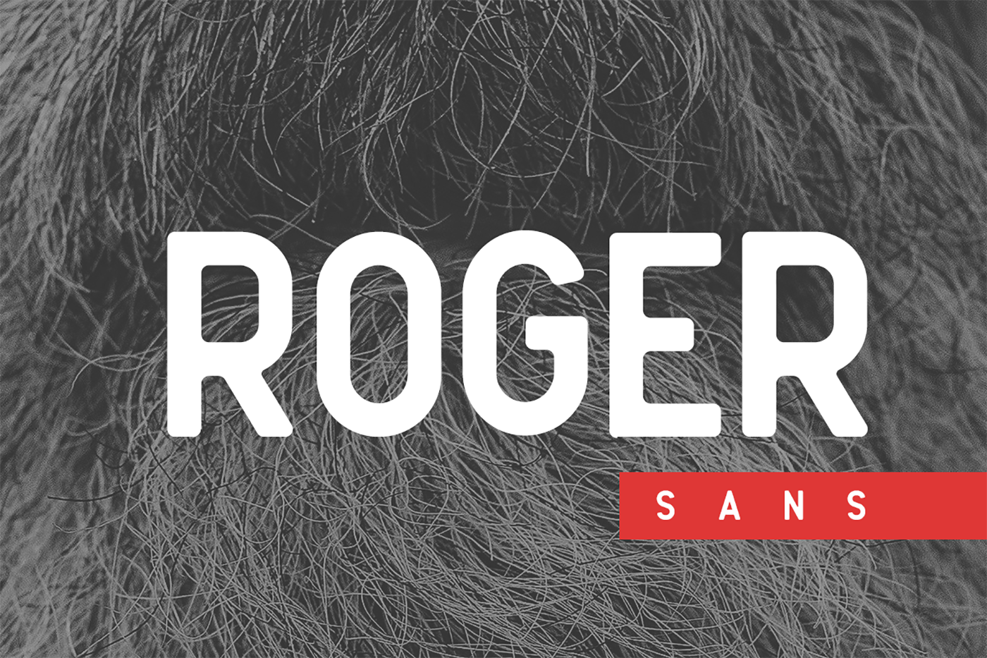 Enhance Your Editorial Design with Roger Sans