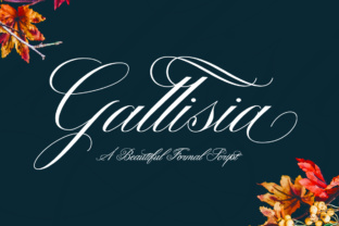 Gallisia: A Classy Script Handwritten Font for Marketers
