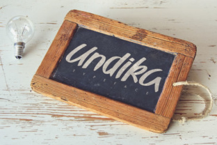 Undika: A Playful Display Font for Engaging Editorial Design